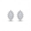 Marquise Halo Studs