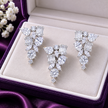 CZ Cluster Set